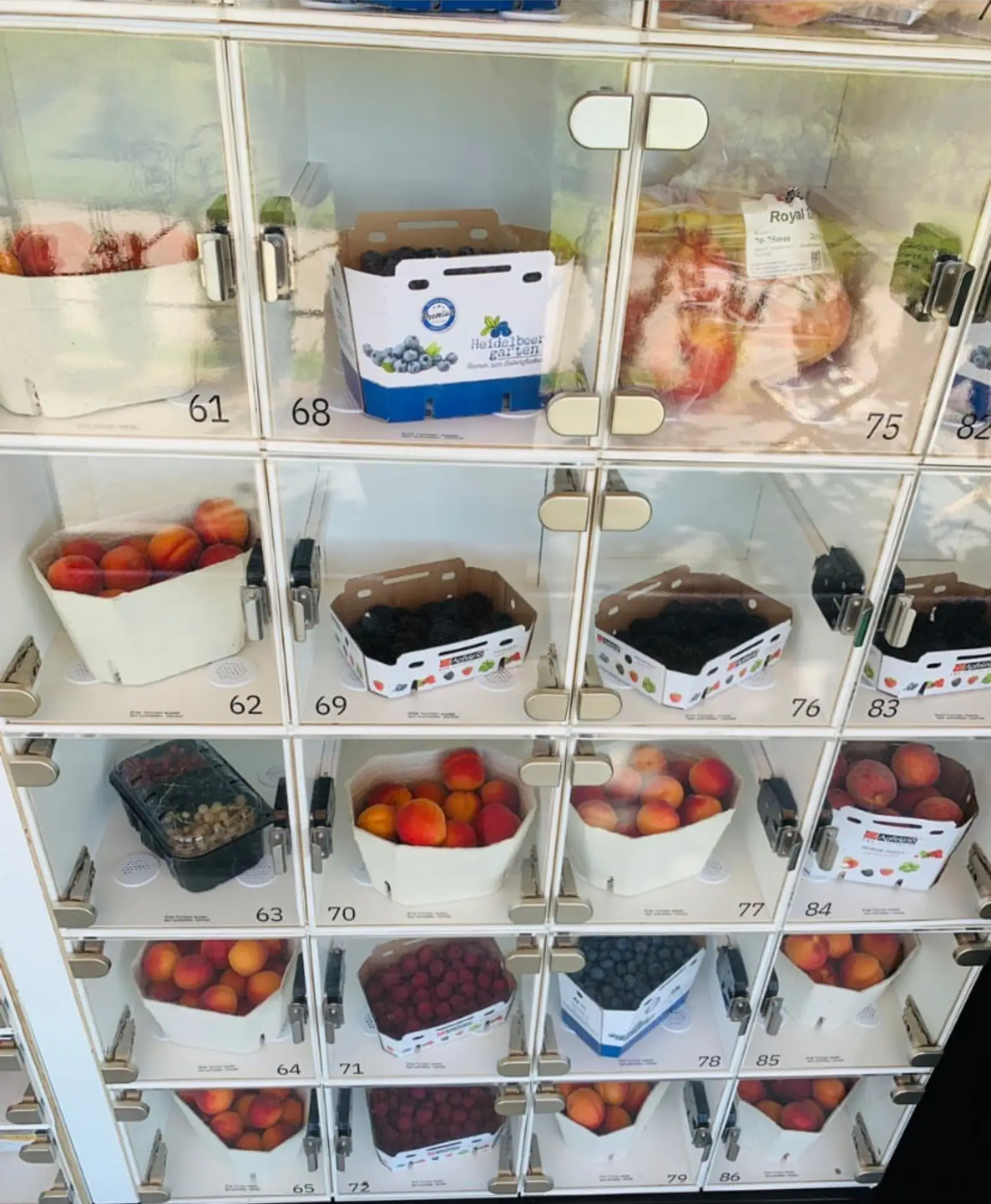 Marktbox-Verkaufsautomat mit frischem Obst wie Beeren und Pfirsichen in nummerierten Glasfächern
