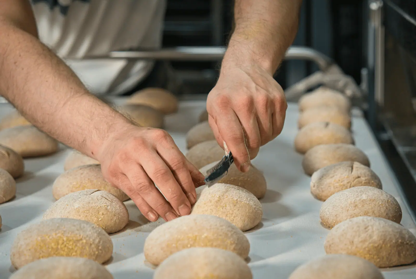 Bäckerhände schneiden mit einer Klinge präzise Muster in bemehlte Teiglinge auf einer Arbeitsfläche