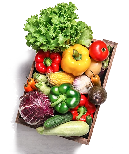 Korb mit frischem Gemüse für die Marktbox