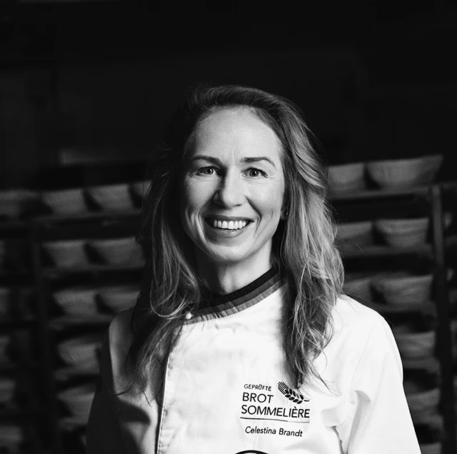 Traditioneel ambacht met digitale innovatie